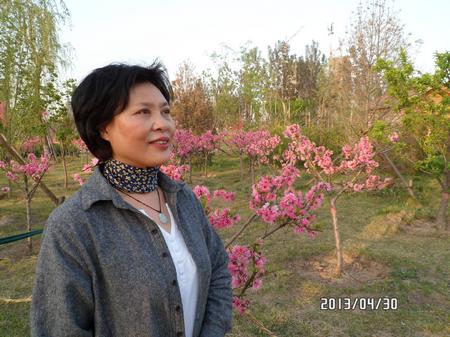 杨凤珍